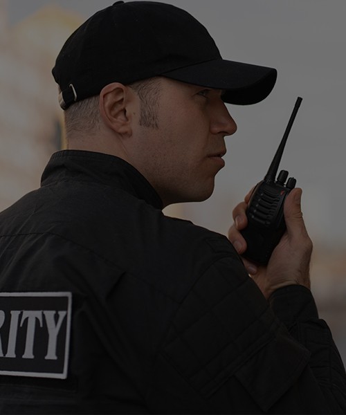 VIP-Sicherheits- und Risikomanagement